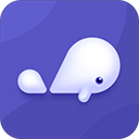 小京魚app