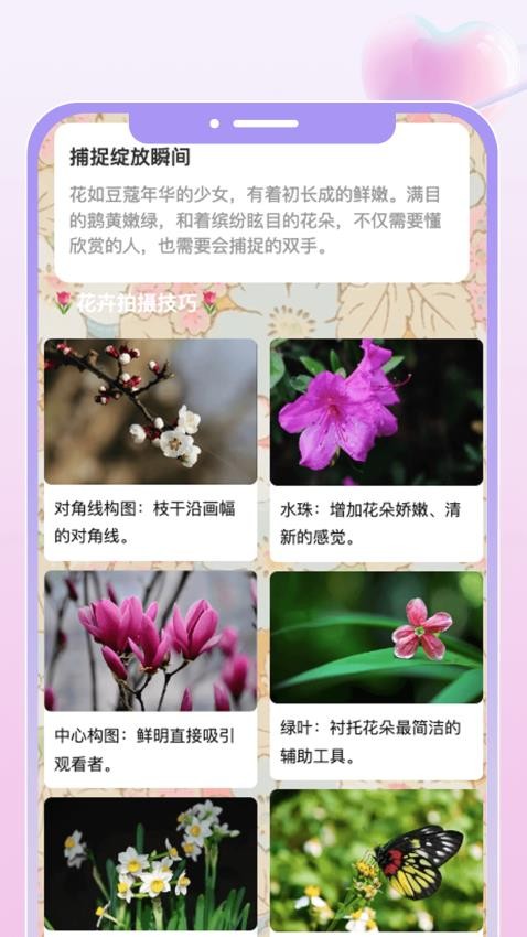 花匯趣看官方版圖3
