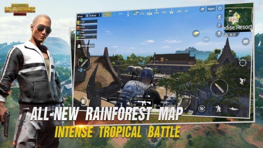 PUBG手游国际服图1