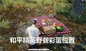 和平精英野餐彩蛋位置在哪