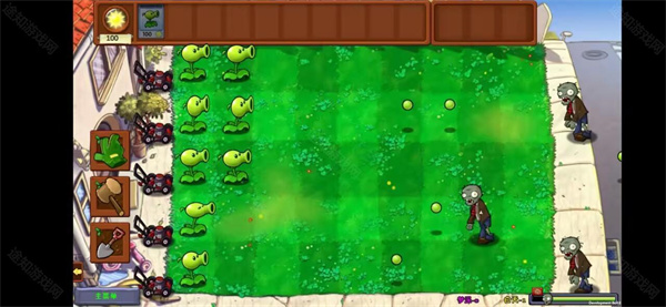 植物大戰僵尸夢境版