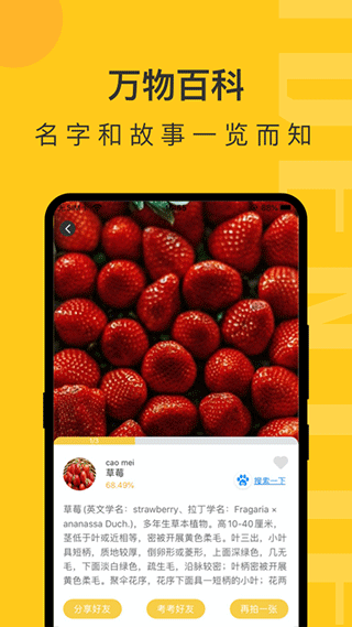 拍照识物app图4