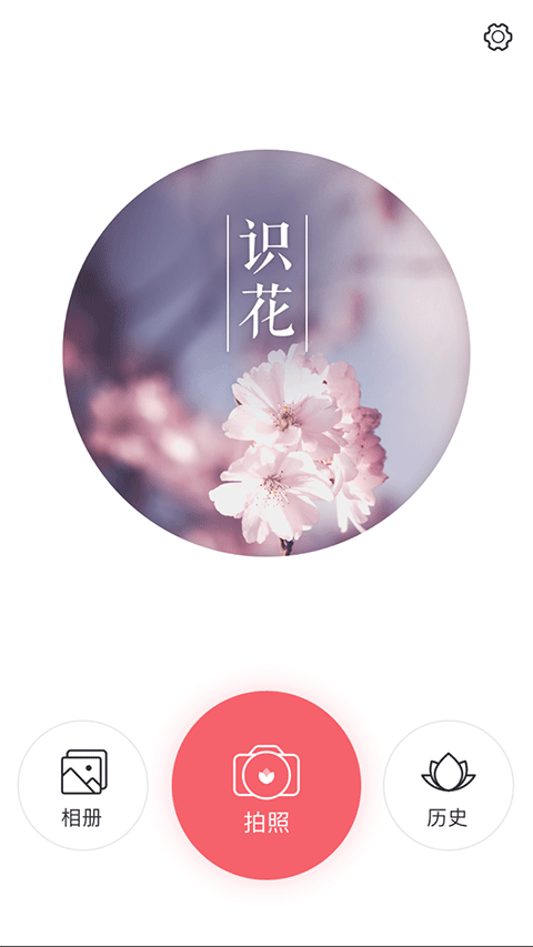 识花app官方版1
