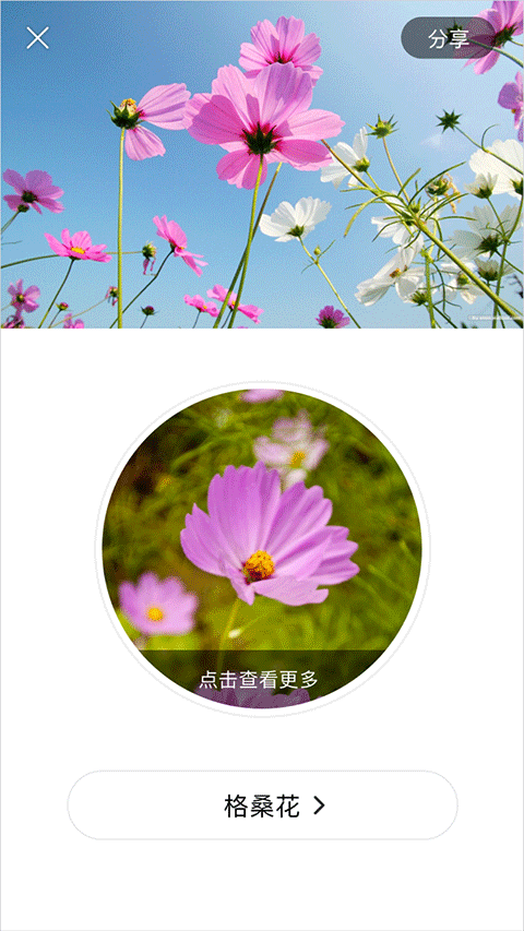 识花app官方版2