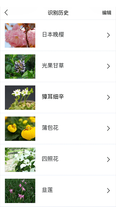 识花app官方版3