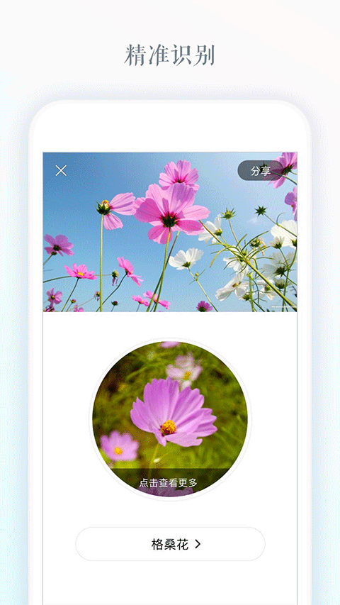 识花app官方版4