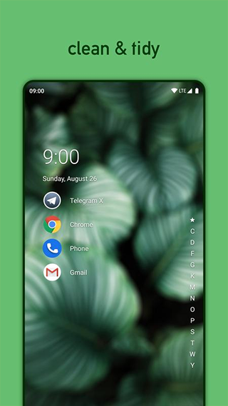 niagara launcher最新版图3