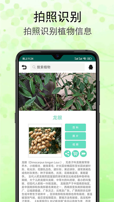 识花草软件1
