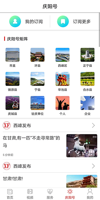 掌中庆阳app4