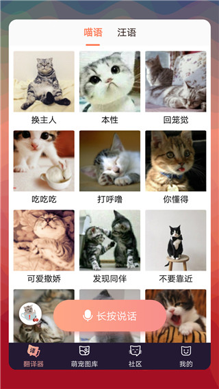 貓語翻譯器圖2