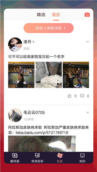 貓語翻譯器圖3