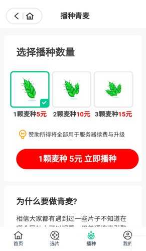 青麦追剧图1