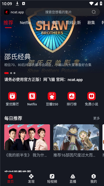 网飞猫(5)
