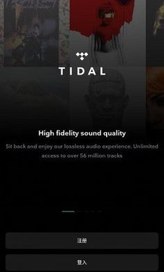 tidal音樂圖2