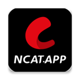 //i-img.nesyouxi.net/2025/0118/20250118_logo_675772.jpg