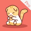 懒猫记账app安卓版