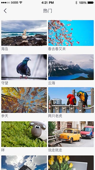 搜狐視頻vr手機版圖2