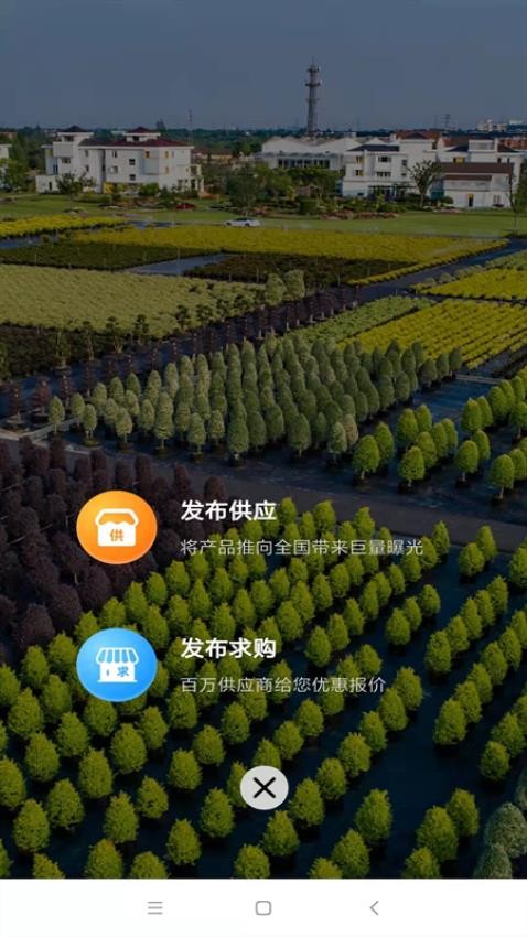 中数苗APP图2
