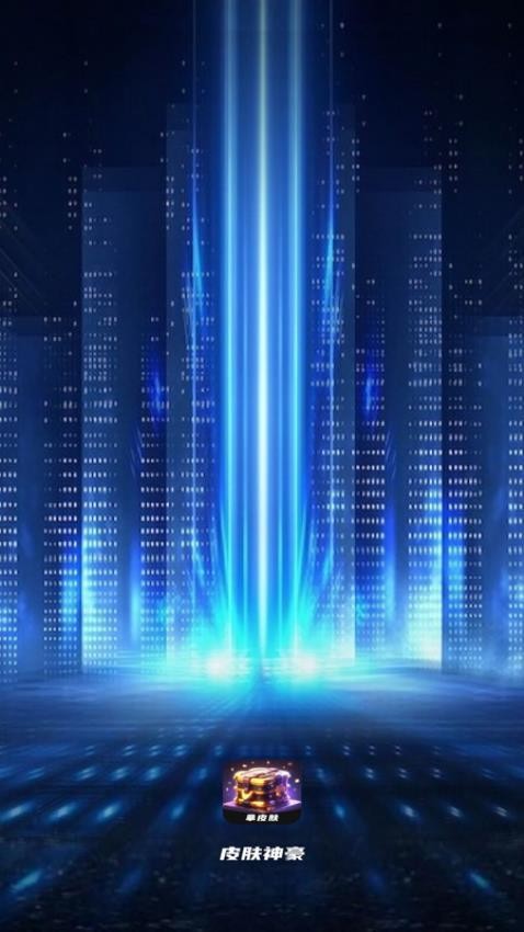 皮肤神豪手机版(4)