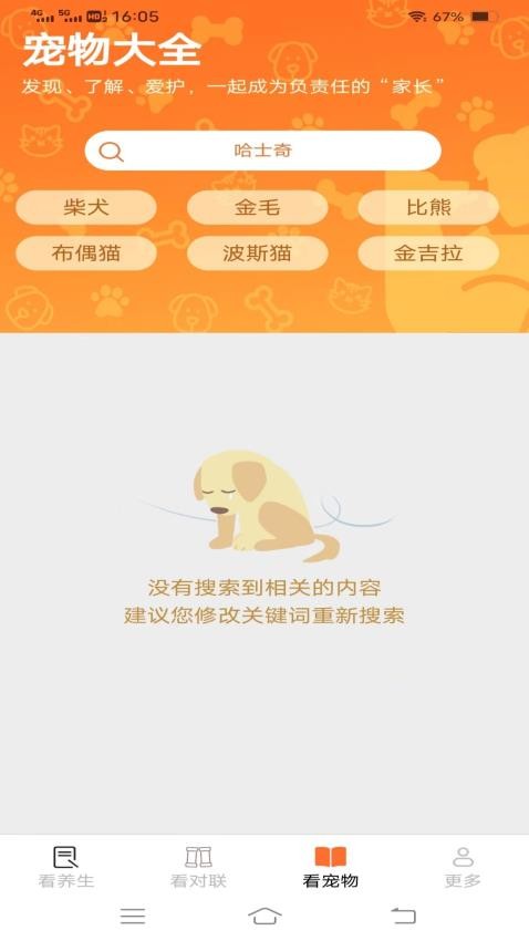 龙珠聚看免费版(1)