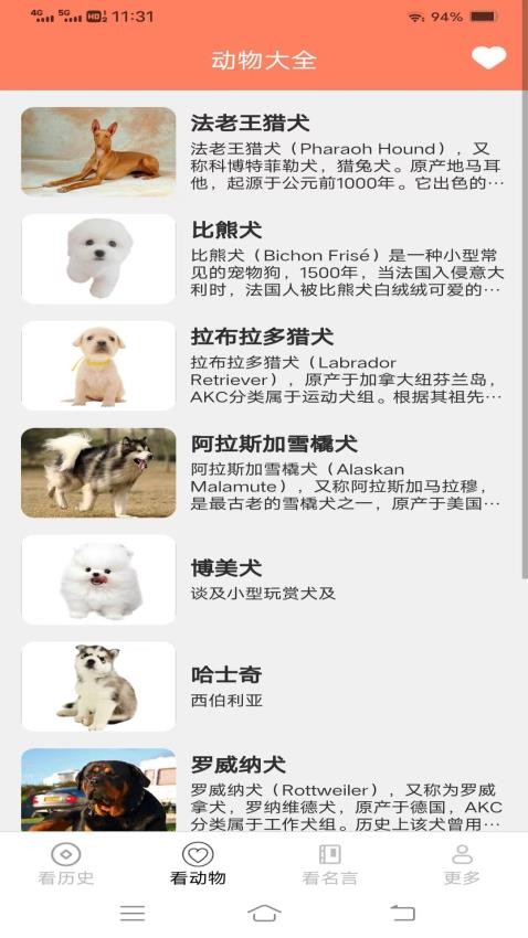 聚看精灵手机版(2)