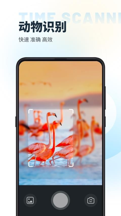 时间扫描软件图1