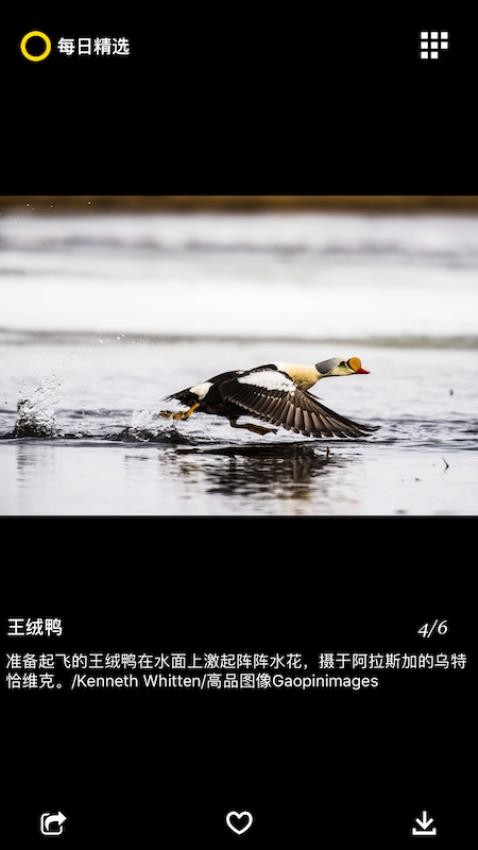 每日精选app