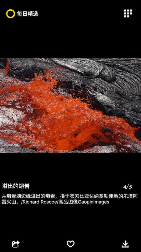 每日精选app