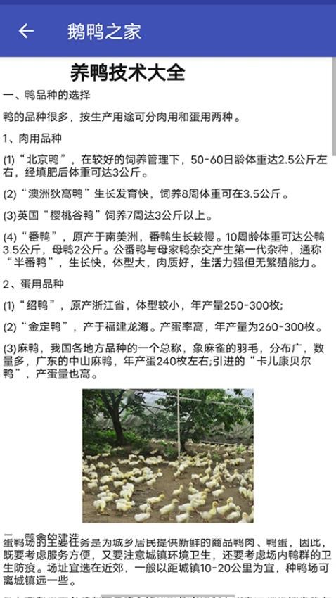 鹅鸭之家app图2