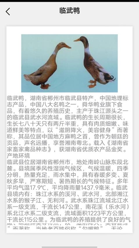 鹅鸭之家app图4