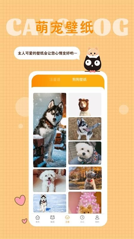 猫语狗语转换器app图4