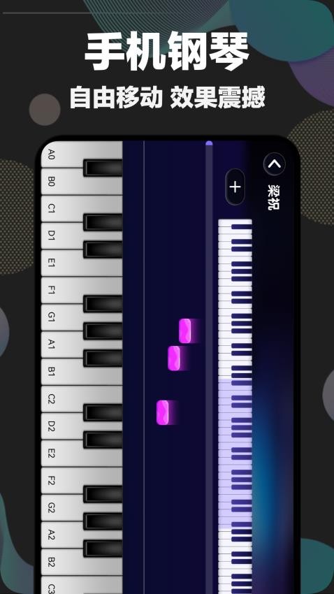 shida弹琴助手免费版图1