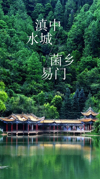 菌乡易门app(1)