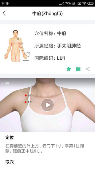 经络穴位图解手机版图3