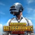 pubg茶茶直装