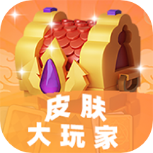 皮肤大玩家软件 