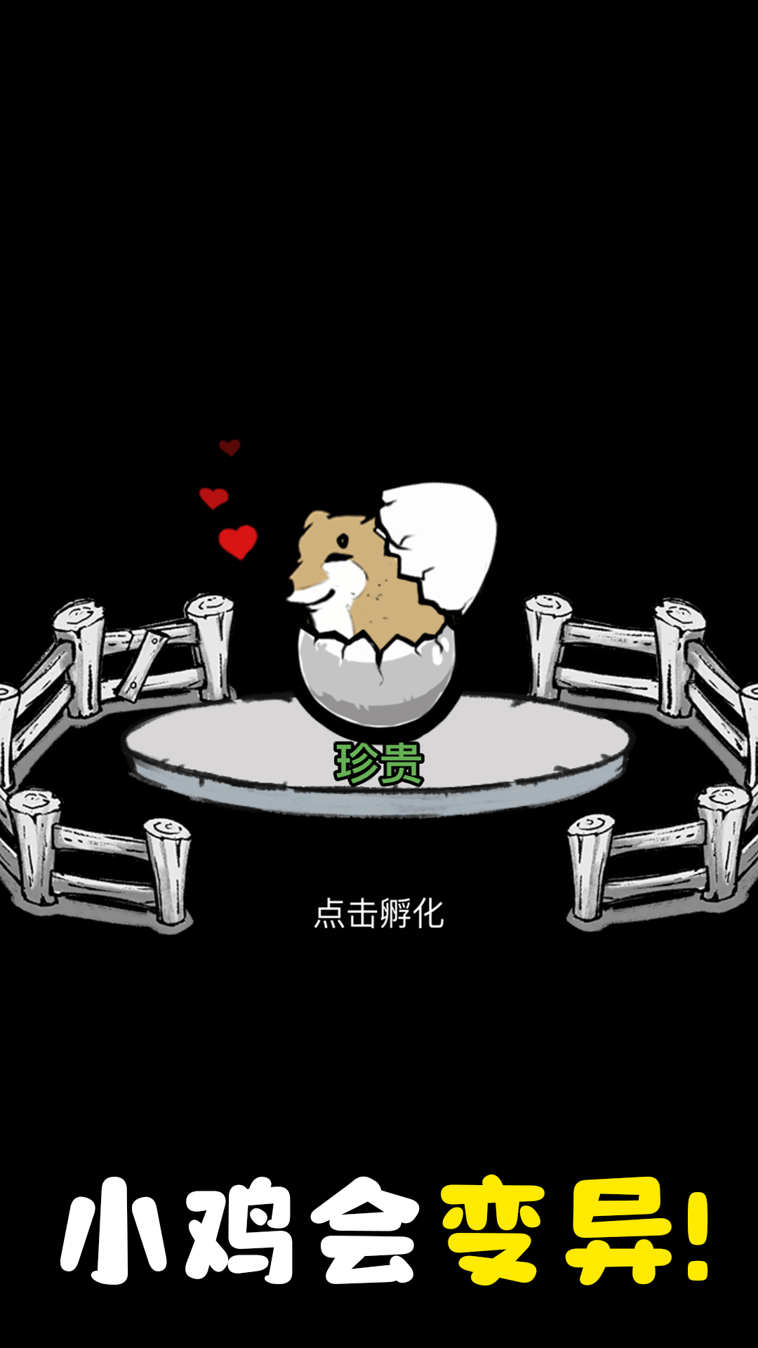 养鸡时长两年半小(2)