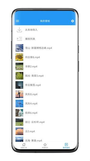 星空视频壁纸引擎最新版安装 v5.17.1 安卓版图4