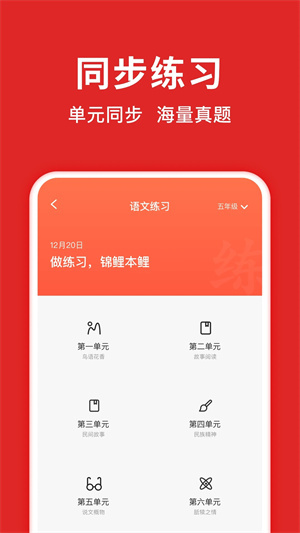题拍拍永久VIP免登录免广告去更新版 v2.8.4 安卓版图5