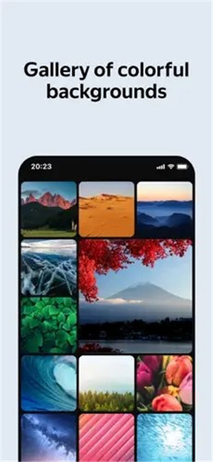 俄罗斯引擎浏览器官方版（Yandex Browser） v19.3.5.299 安卓版图3