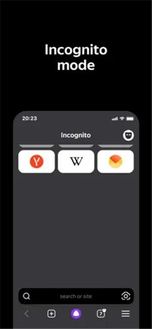 俄罗斯引擎浏览器官方版（Yandex Browser） v19.3.5.299 安卓版图5