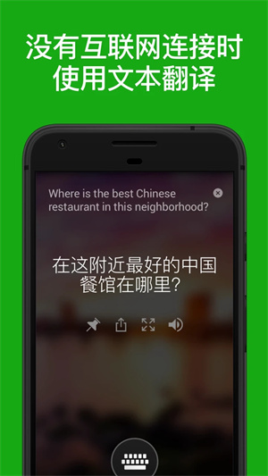 微软翻译软件官方安装 v4.0.506i 41bd0342 安卓版(5)