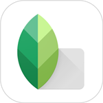 Snapseed官方正版小叶子 v345 安卓版