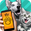 Pet Translator免费版 v1.1 中文版
