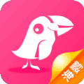 海鹦课堂官网版
