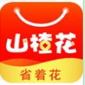 山楂花官方最新版