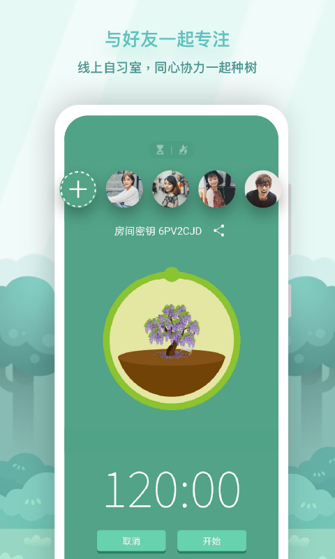 forest专注森林(1)