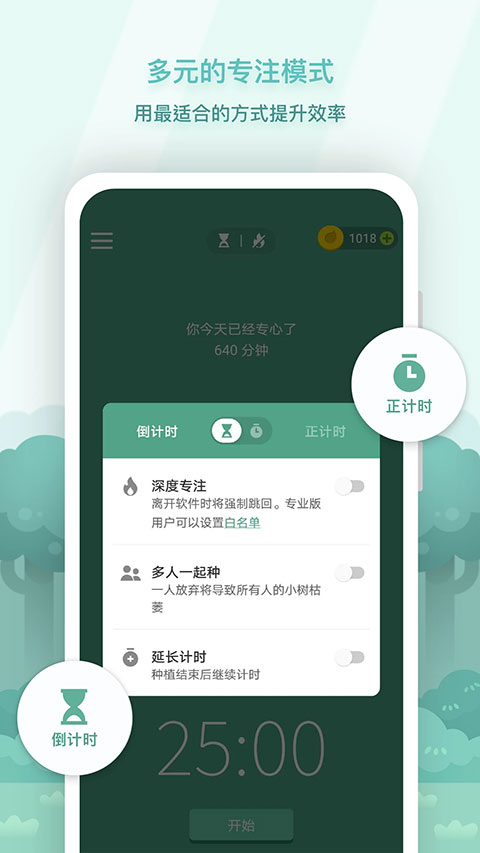 forest专注森林(4)