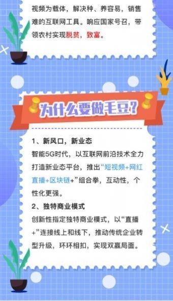毛豆视频app(3)