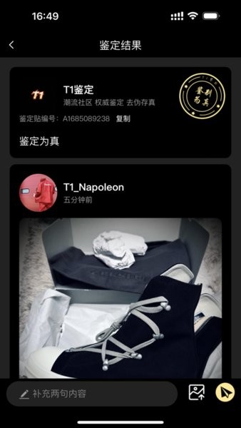 鉴定师正版